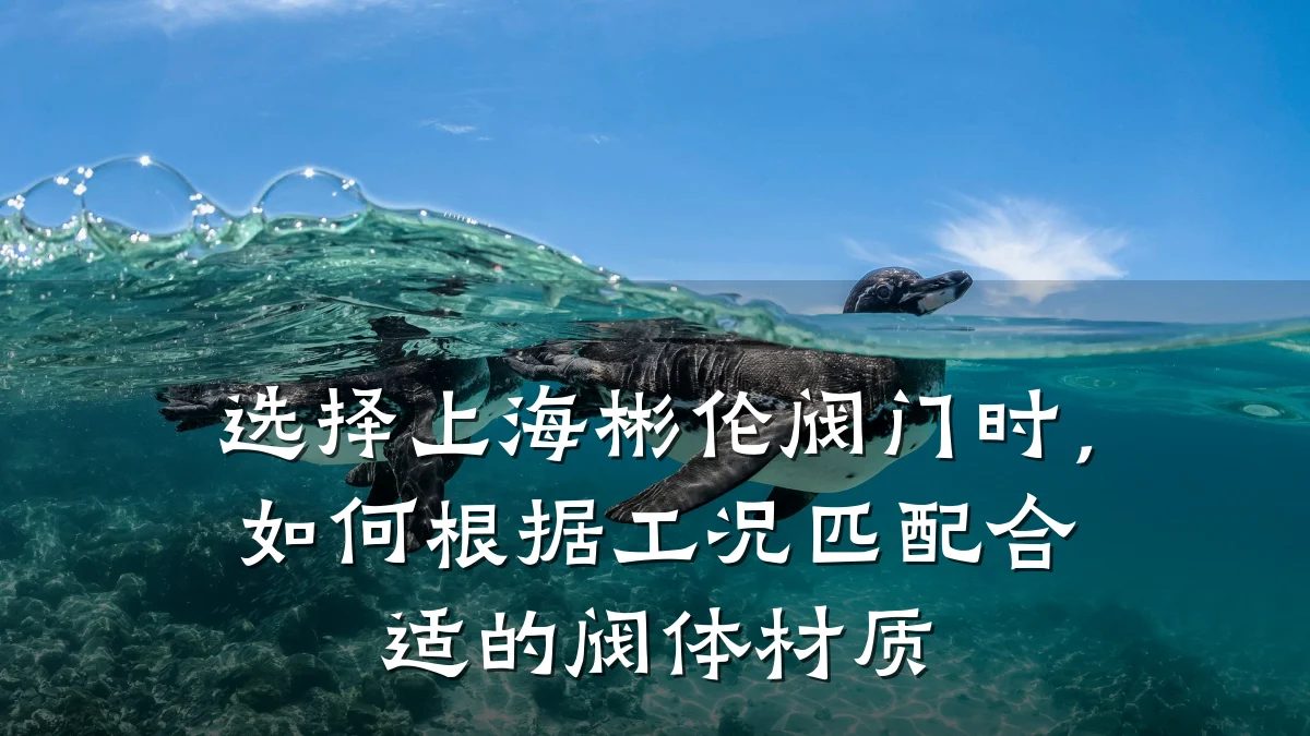选择上海彬伦阀门时,如何根据工况匹配合适的阀体材质