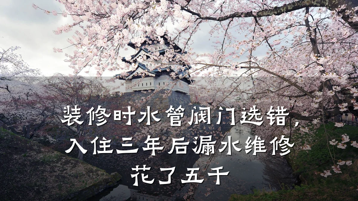 装修时水管阀门选错,入住三年后漏水维修花了五千