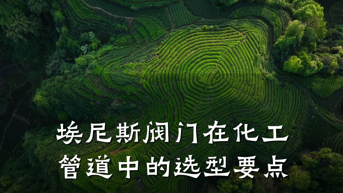 埃尼斯阀门在化工管道中的选型要点