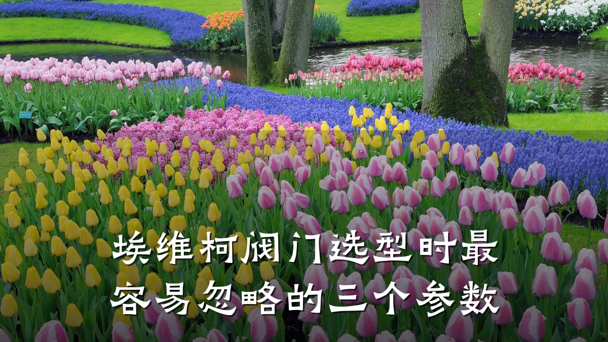 埃维柯阀门选型时最容易忽略的三个参数