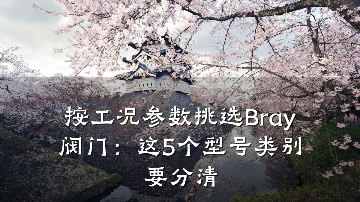 按工况参数挑选Bray阀门:这5个型号类别要分清