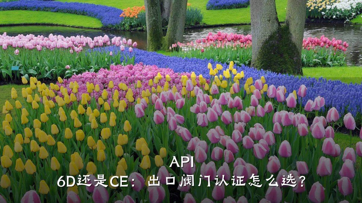 API 6D还是CE:出口阀门认证怎么选?