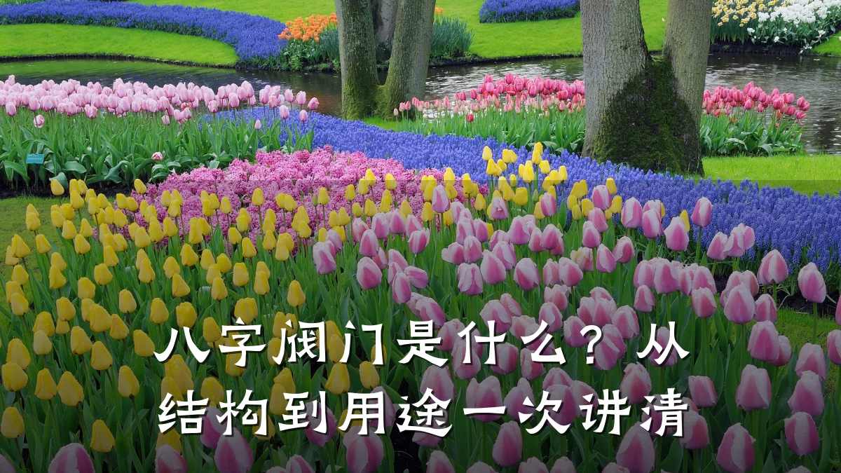 八字阀门是什么?从结构到用途一次讲清