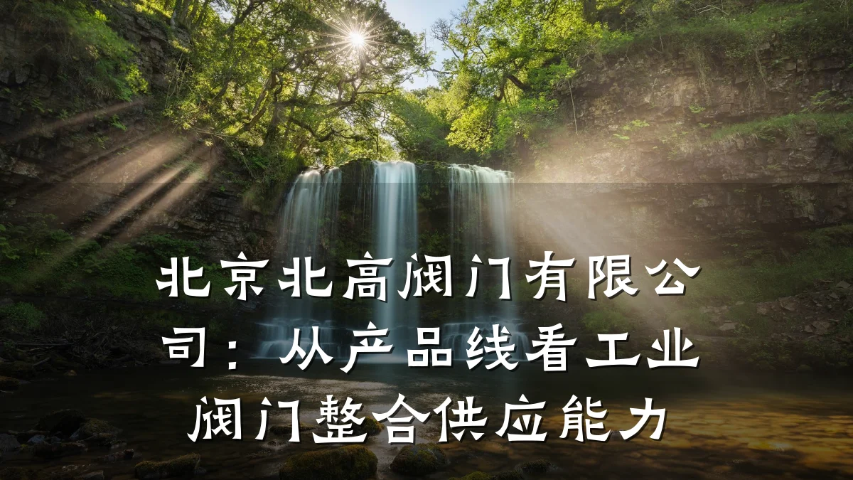 北京北高阀门有限公司:从产品线看工业阀门整合供应能力