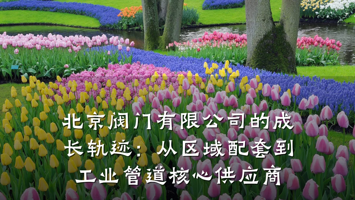 北京阀门有限公司的成长轨迹:从区域配套到工业管道核心供应商