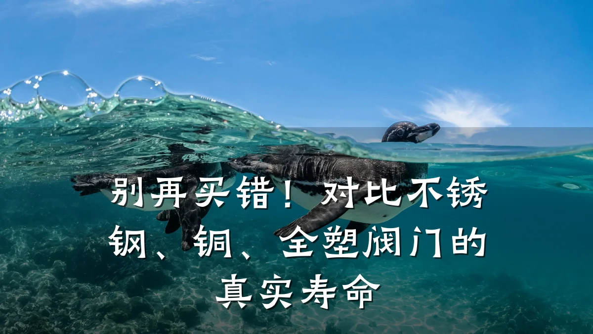别再买错!对比不锈钢、铜、全塑阀门的真实寿命