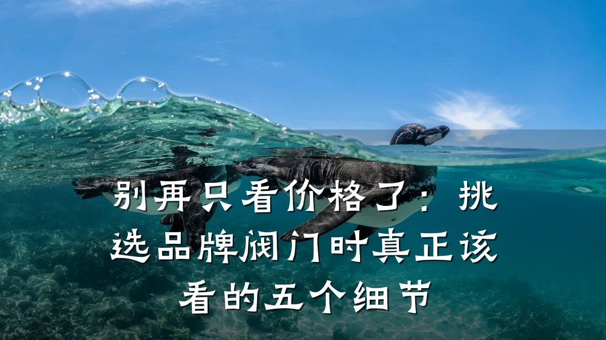 别再只看价格了:挑选品牌阀门时真正该看的五个细节