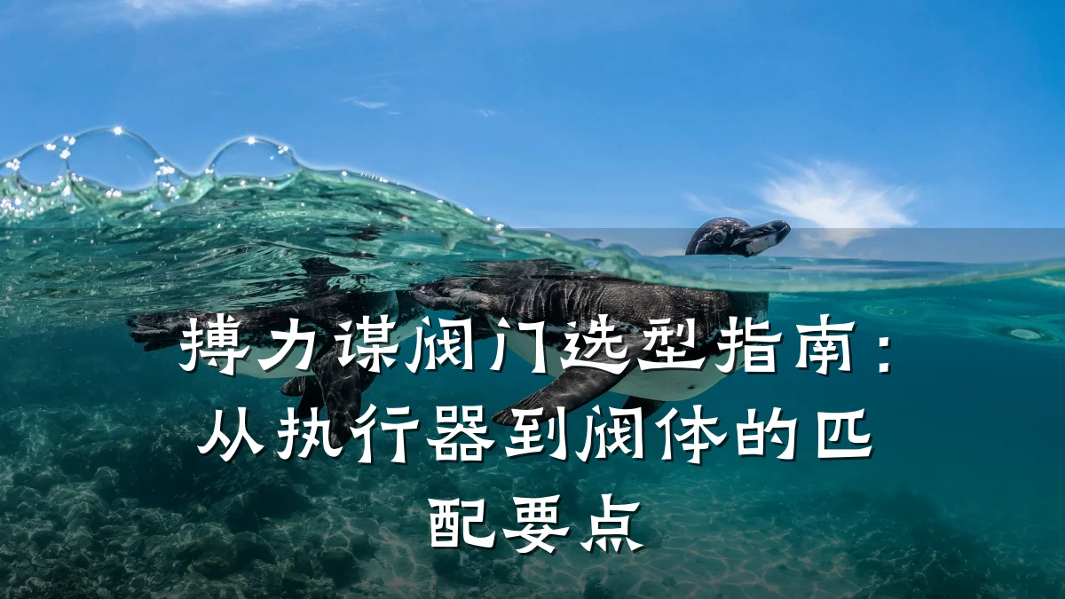 搏力谋阀门选型指南:从执行器到阀体的匹配要点