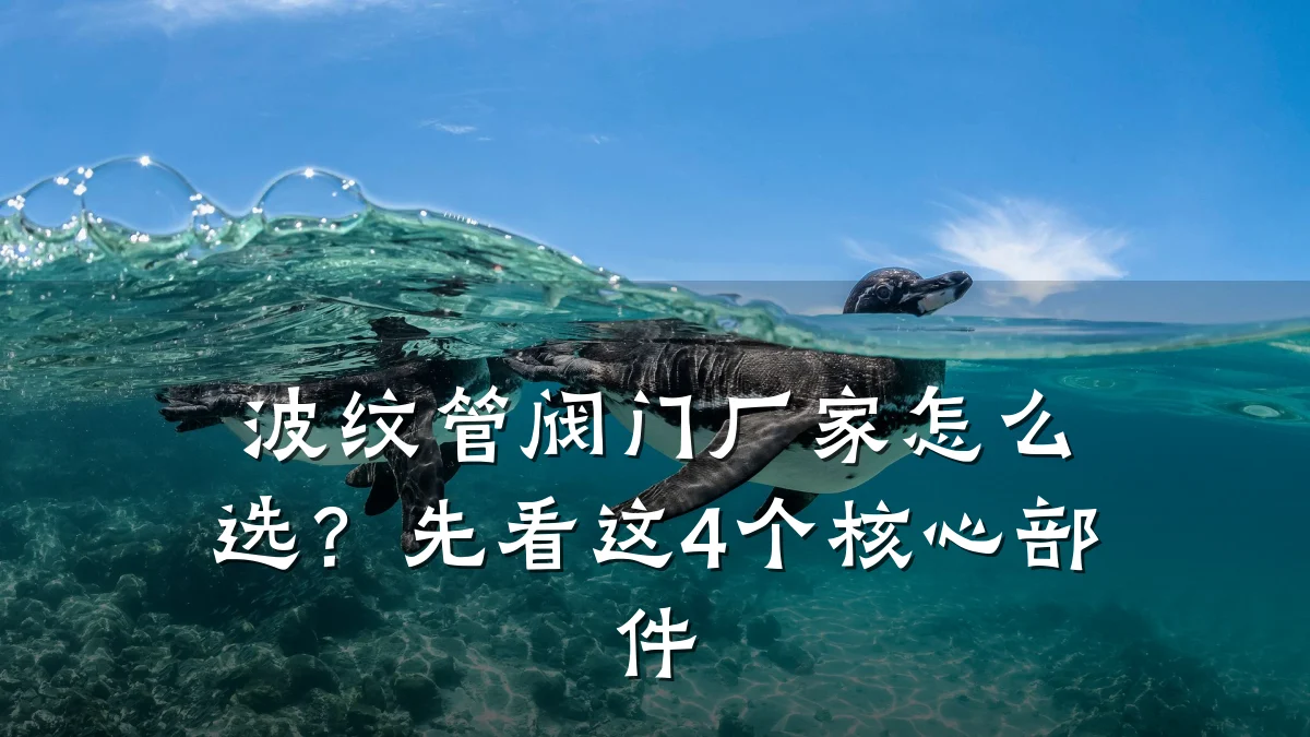 波纹管阀门厂家怎么选?先看这4个核心部件