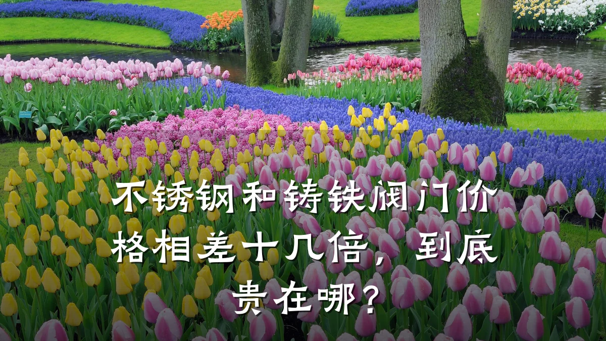 不锈钢和铸铁阀门价格相差十几倍,到底贵在哪?