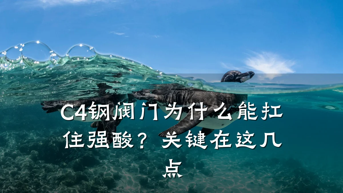 C4钢阀门为什么能扛住强酸?关键在这几点