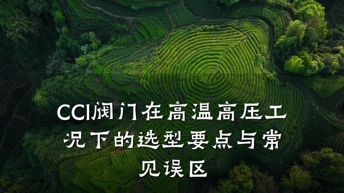 CCI阀门在高温高压工况下的选型要点与常见误区