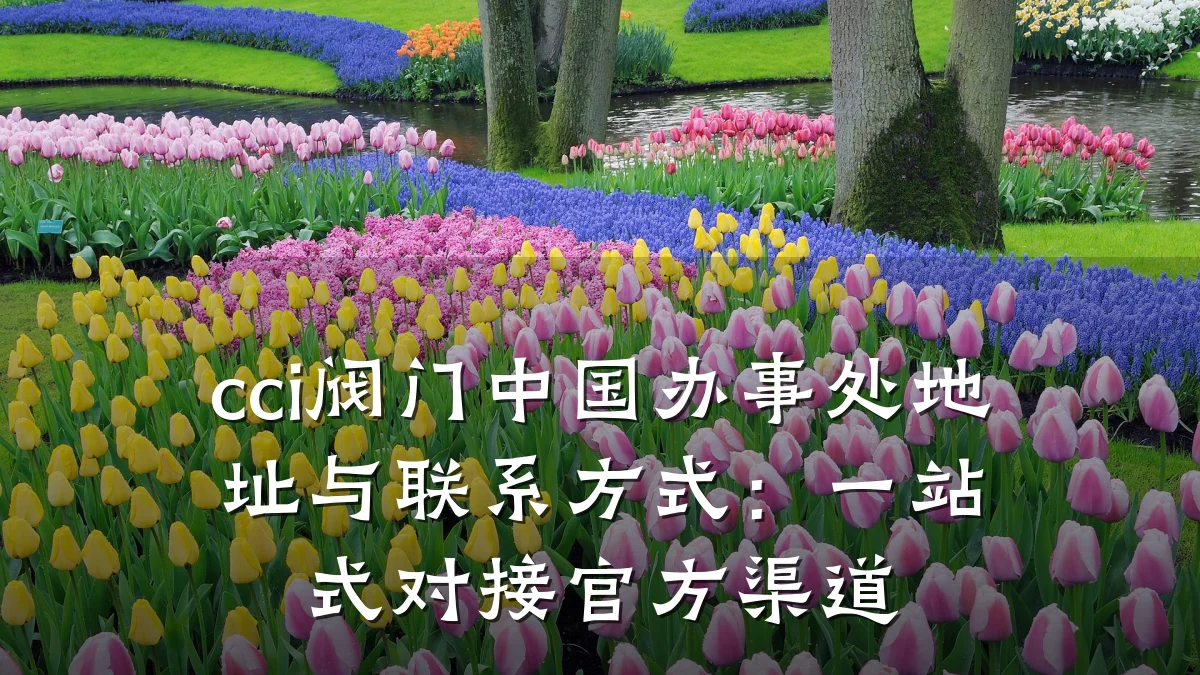 cci阀门中国办事处地址与联系方式：一站式对接官方渠道