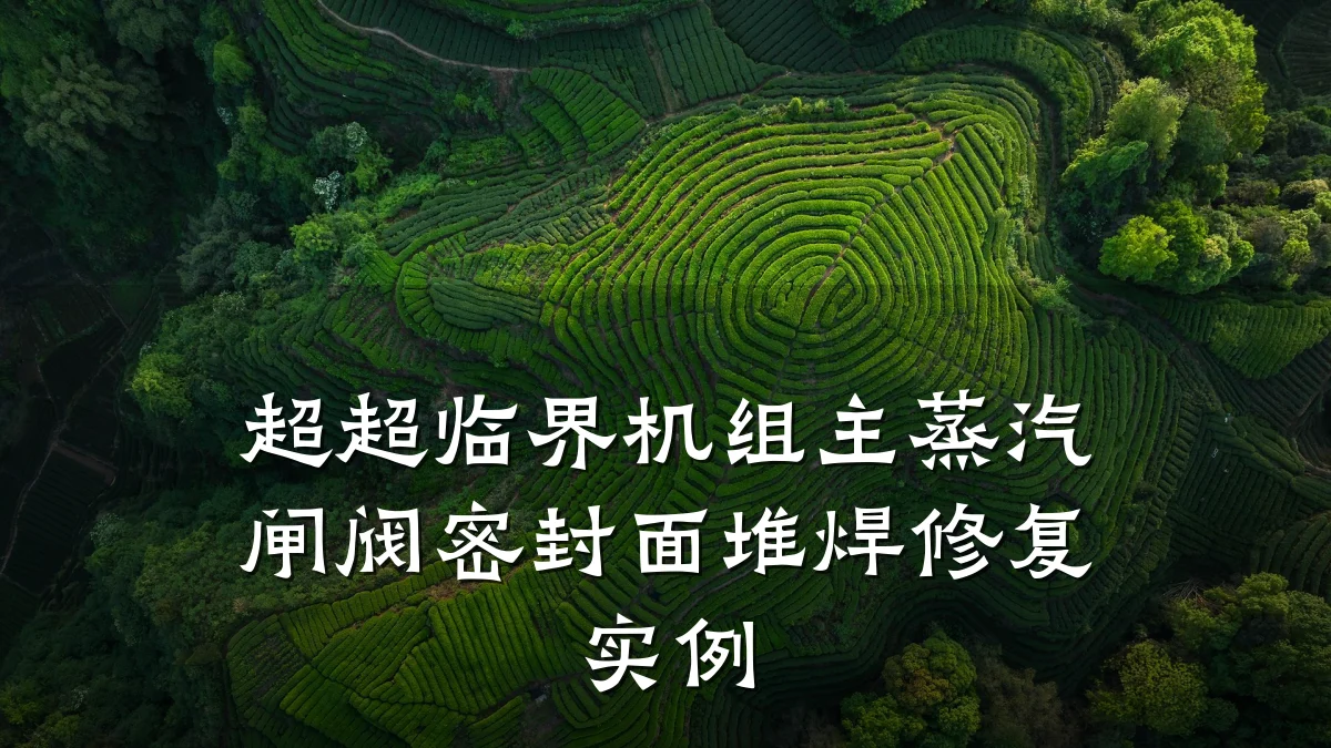 超超临界机组主蒸汽闸阀密封面堆焊修复实例