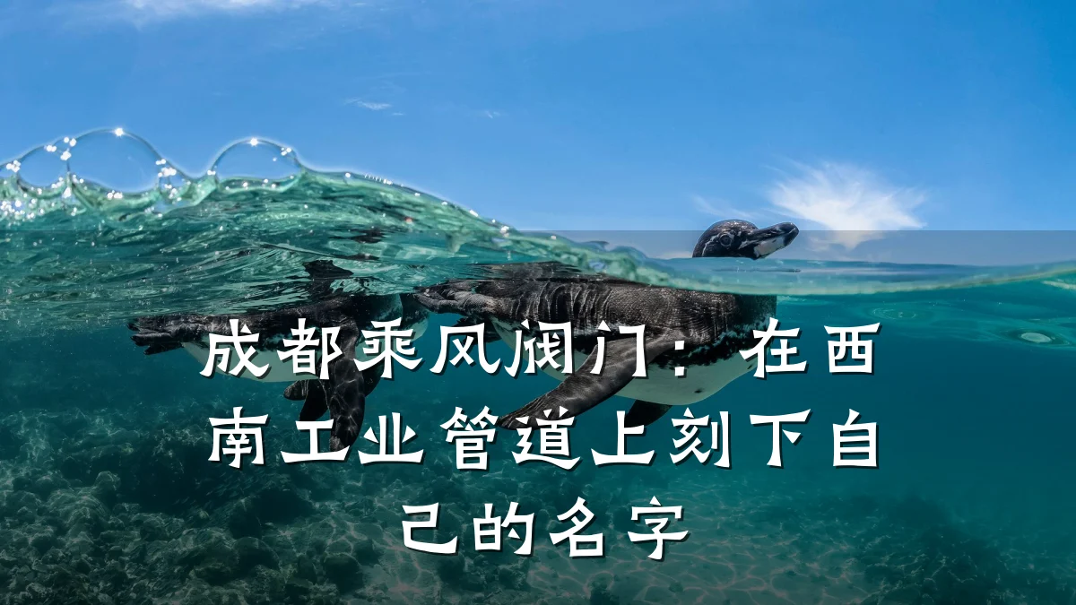 成都乘风阀门:在西南工业管道上刻下自己的名字