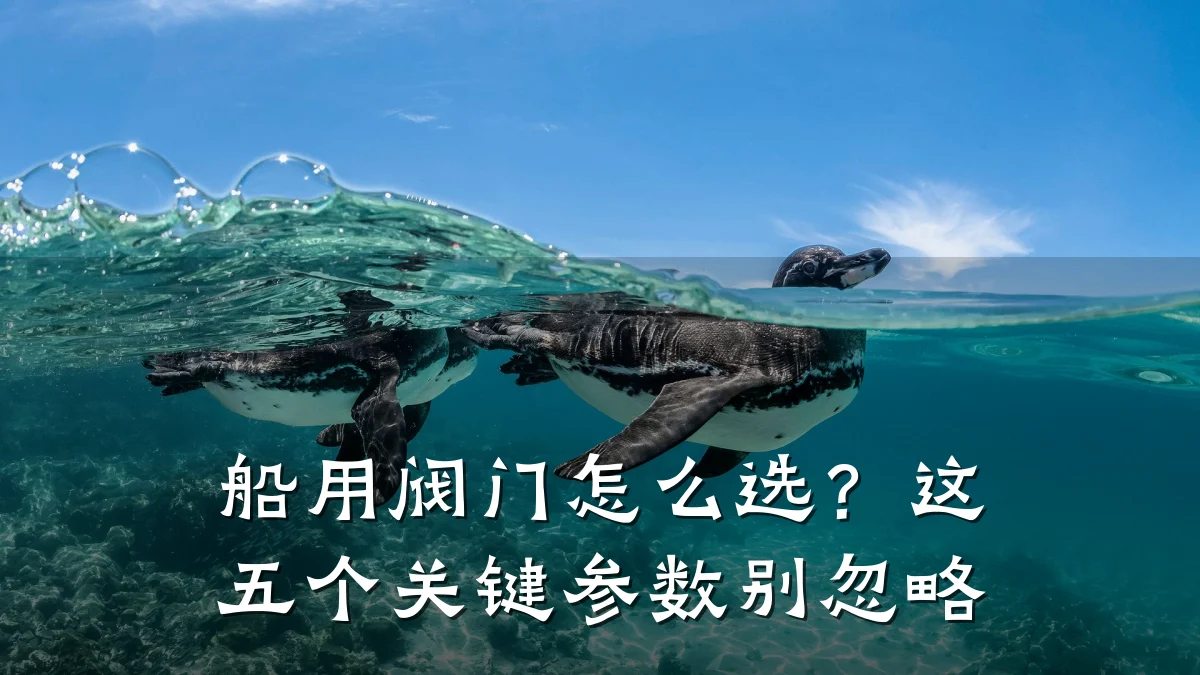 船用阀门怎么选?这五个关键参数别忽略