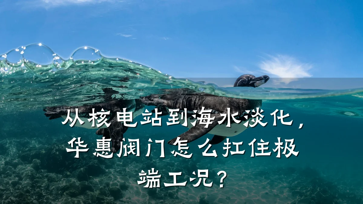 从核电站到海水淡化,华惠阀门怎么扛住极端工况?
