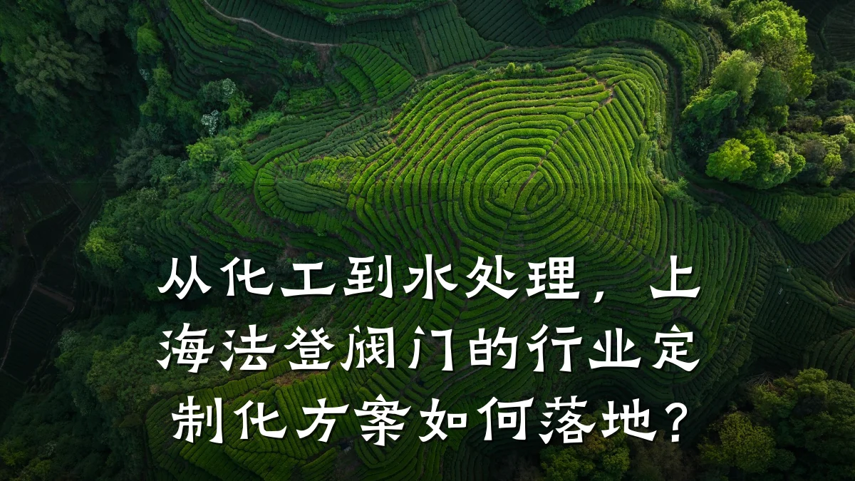 从化工到水处理,上海法登阀门的行业定制化方案如何落地?