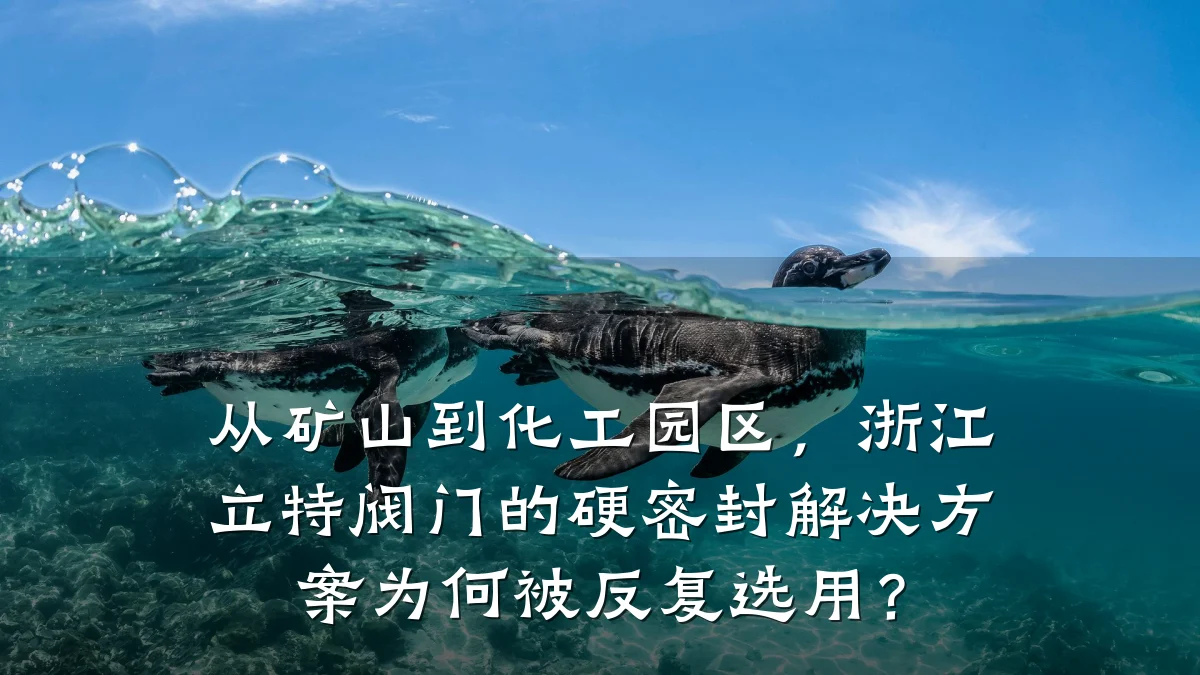 从矿山到化工园区,浙江立特阀门的硬密封解决方案为何被反复选用?