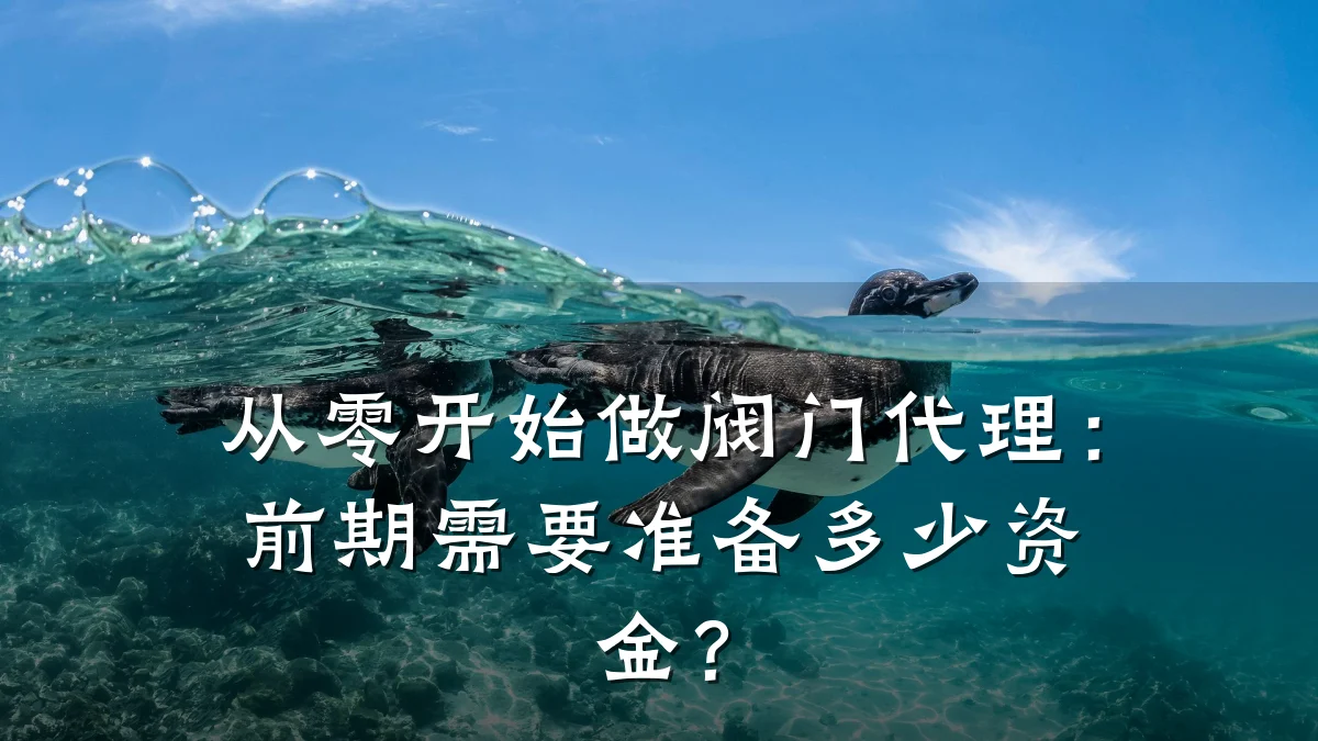 从零开始做阀门代理:前期需要准备多少资金?