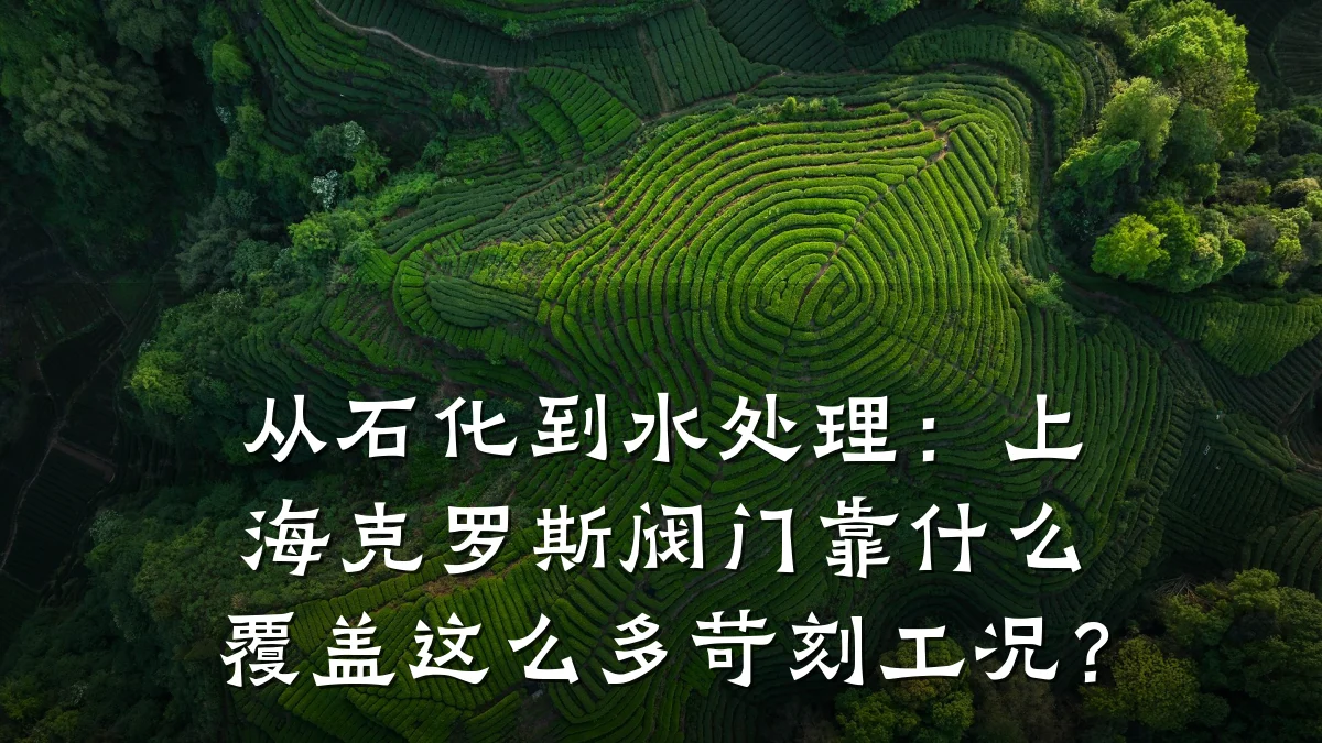 从石化到水处理:上海克罗斯阀门靠什么覆盖这么多苛刻工况?