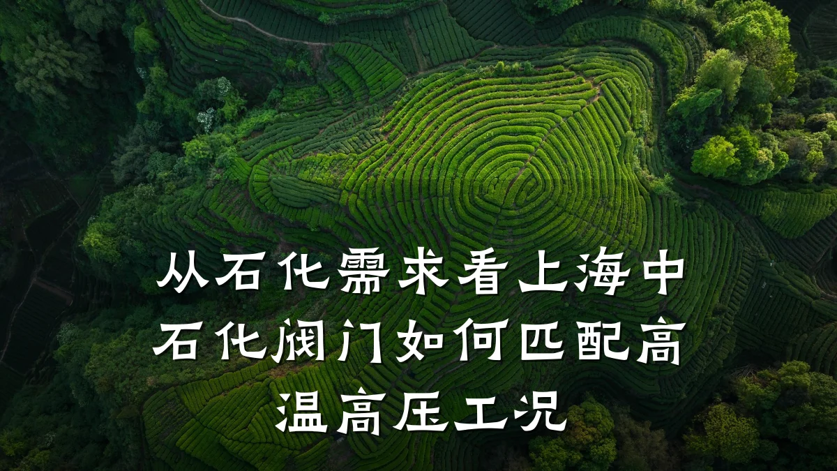 从石化需求看上海中石化阀门如何匹配高温高压工况