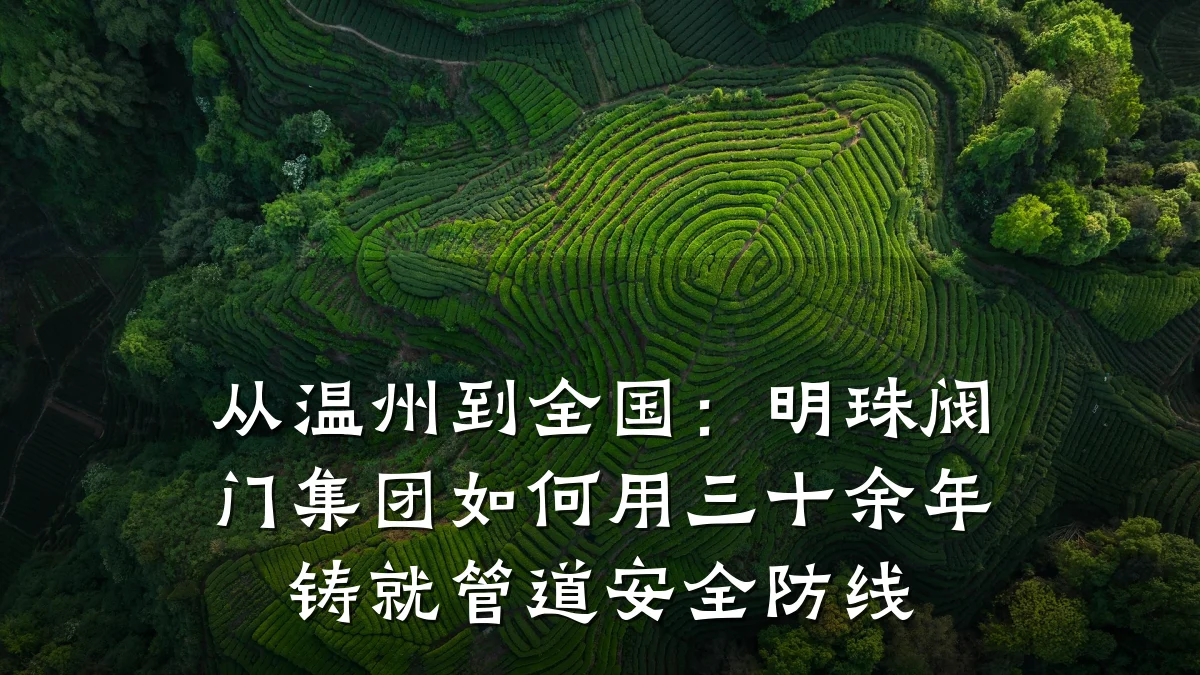 从温州到全国:明珠阀门集团如何用三十余年铸就管道安全防线