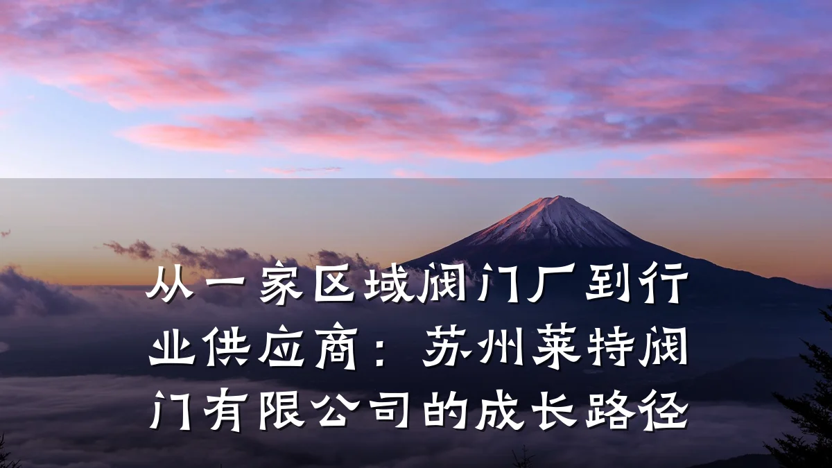 从一家区域阀门厂到行业供应商:苏州莱特阀门有限公司的成长路径