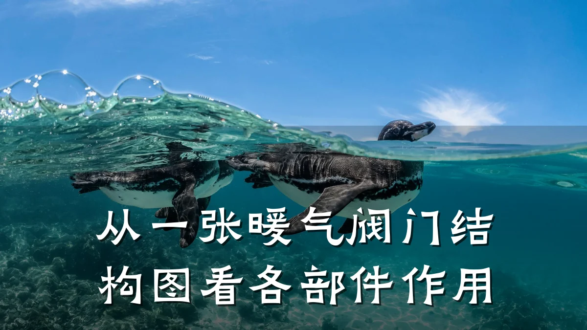从一张暖气阀门结构图看各部件作用
