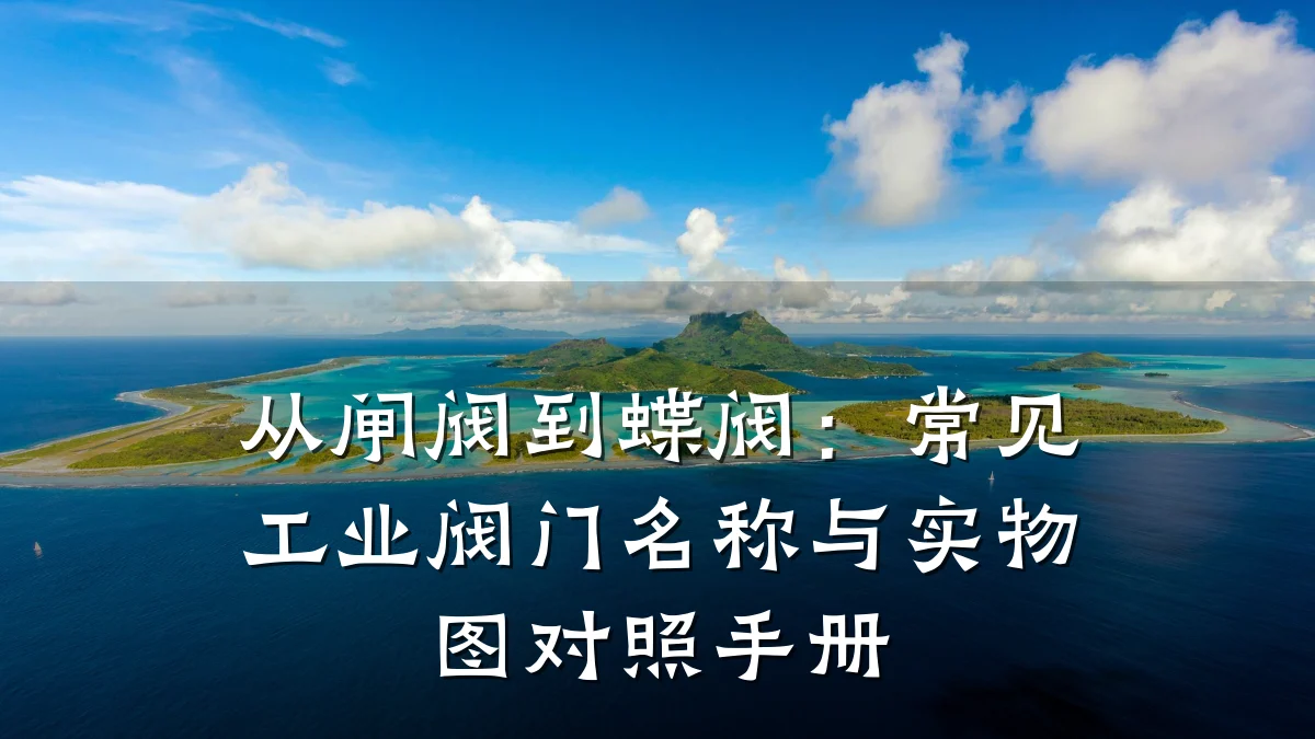 从闸阀到蝶阀:常见工业阀门名称与实物图对照手册