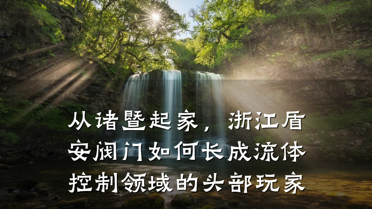 从诸暨起家,浙江盾安阀门如何长成流体控制领域的头部玩家