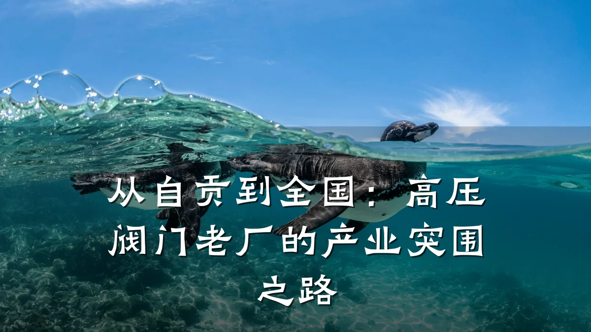 从自贡到全国:高压阀门老厂的产业突围之路