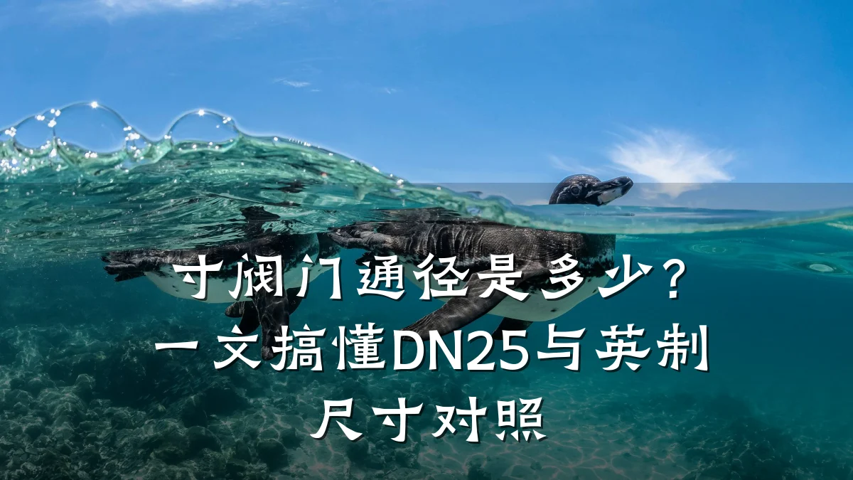 寸阀门通径是多少?一文搞懂DN25与英制尺寸对照