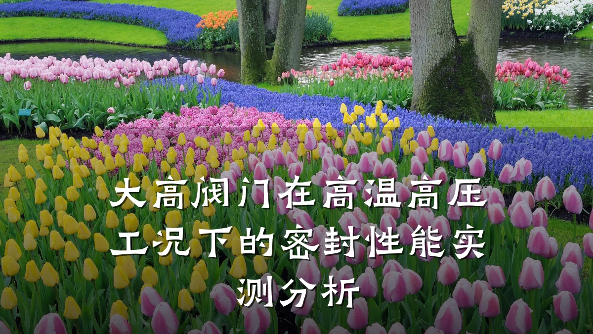 大高阀门在高温高压工况下的密封性能实测分析