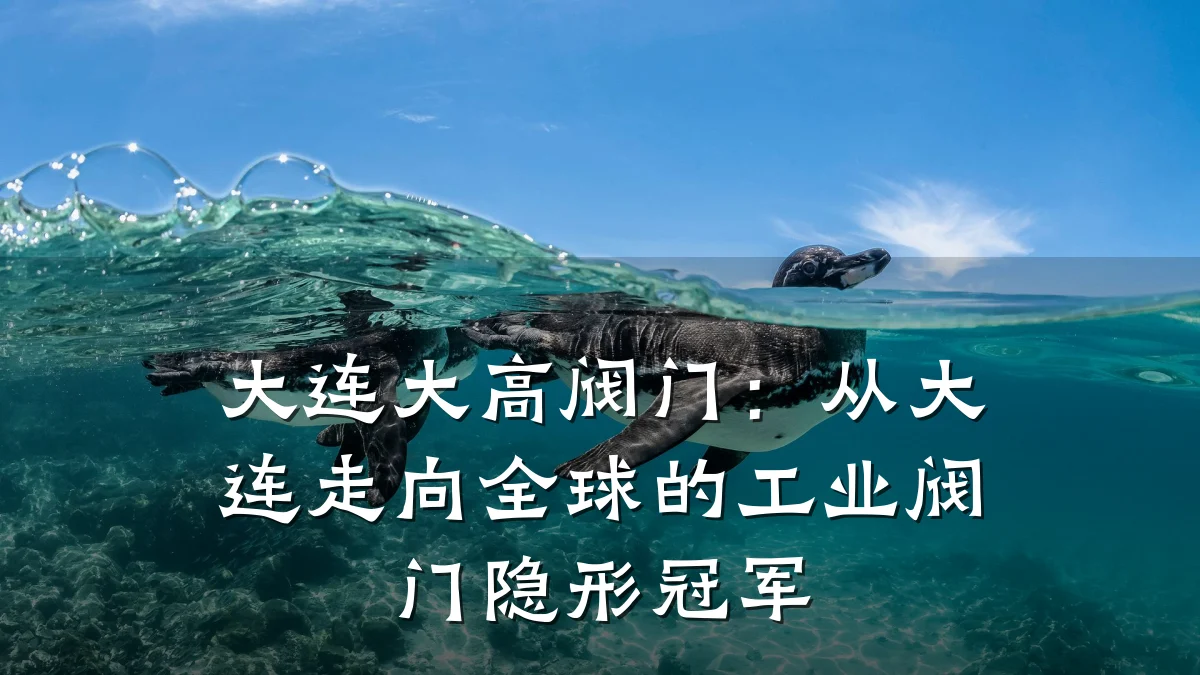 大连大高阀门:从大连走向全球的工业阀门隐形冠军