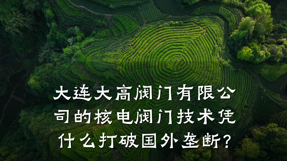 大连大高阀门有限公司的核电阀门技术凭什么打破国外垄断?