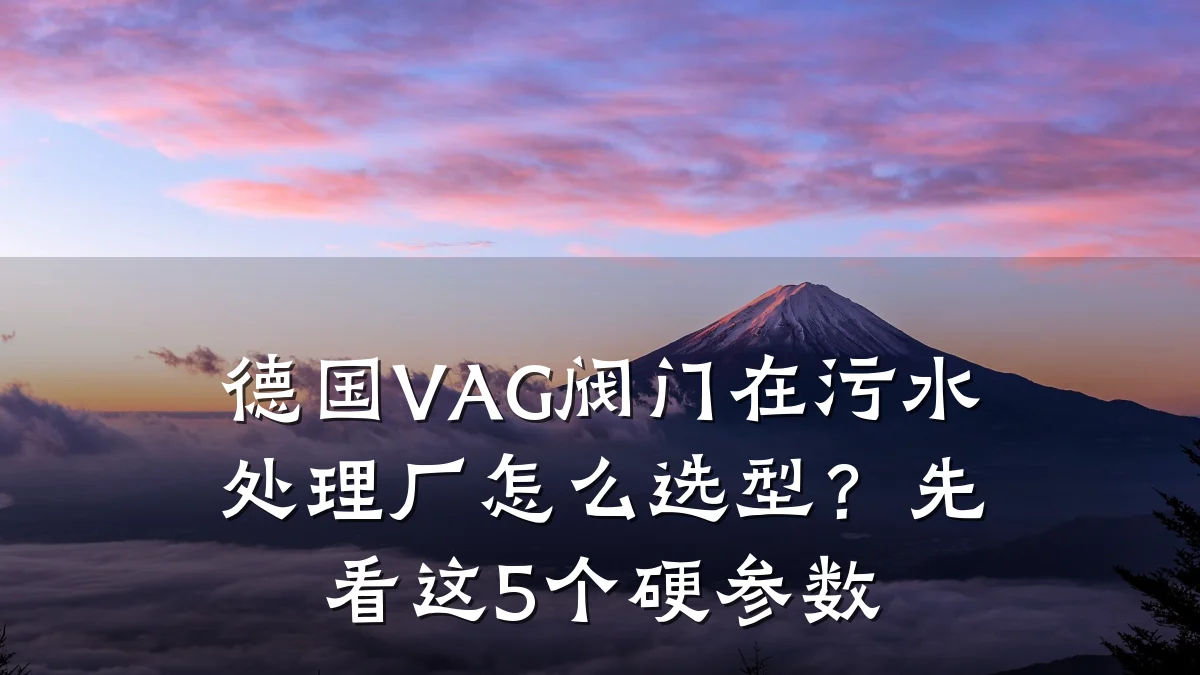德国VAG阀门在污水处理厂怎么选型?先看这5个硬参数