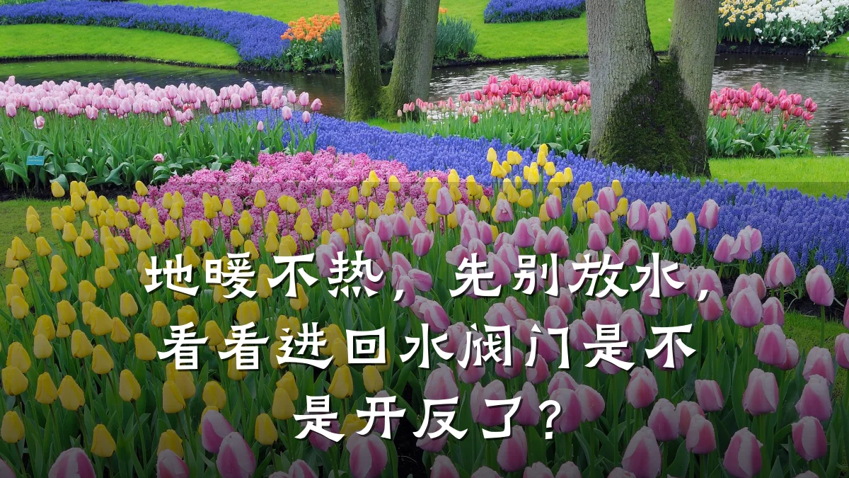 地暖不热,先别放水,看看进回水阀门是不是开反了?
