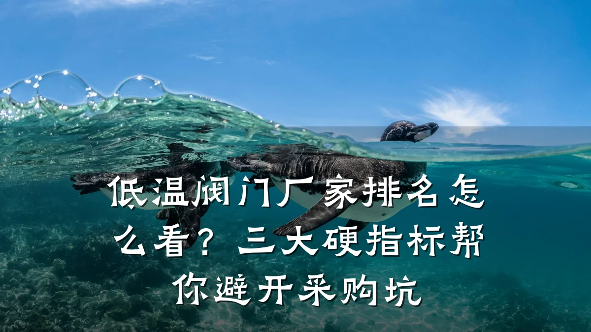 低温阀门厂家排名怎么看?三大硬指标帮你避开采购坑