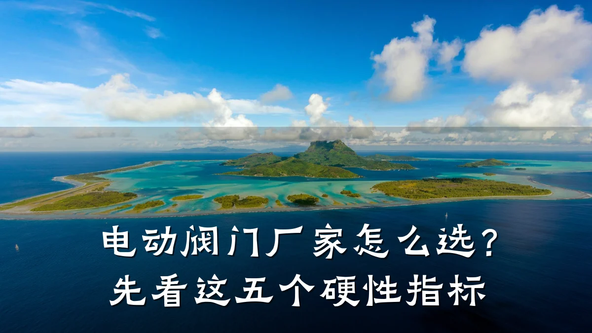 电动阀门厂家怎么选?先看这五个硬性指标