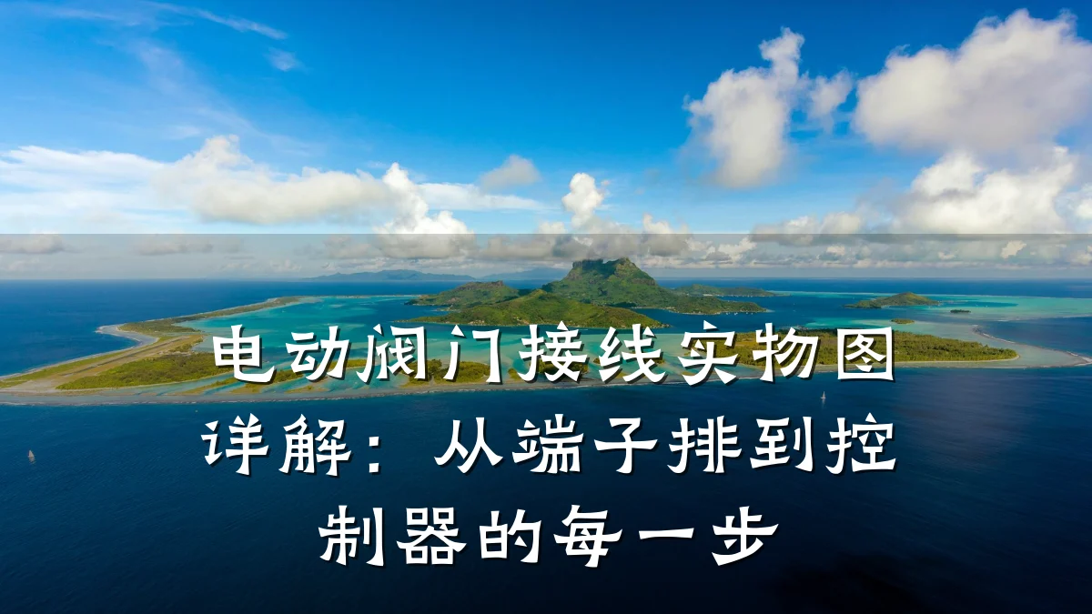 电动阀门接线实物图详解:从端子排到控制器的每一步