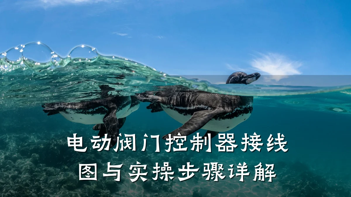 电动阀门控制器接线图与实操步骤详解