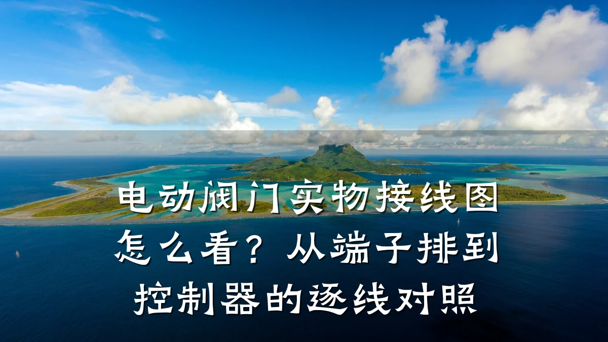电动阀门实物接线图怎么看?从端子排到控制器的逐线对照