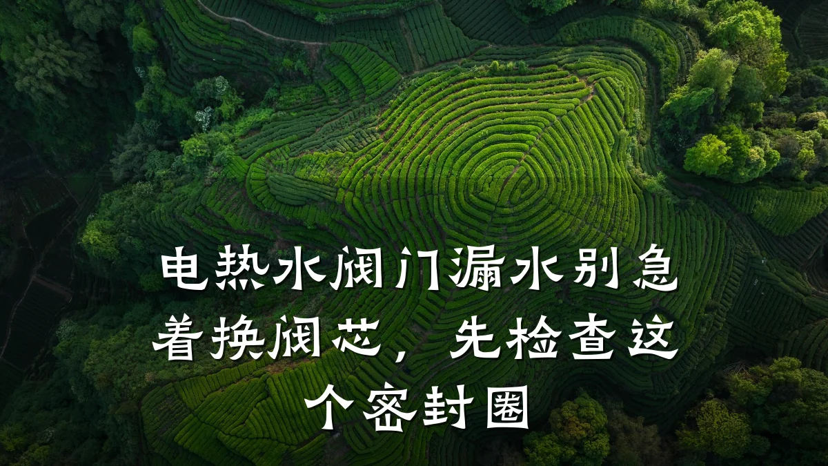 电热水阀门漏水别急着换阀芯,先检查这个密封圈