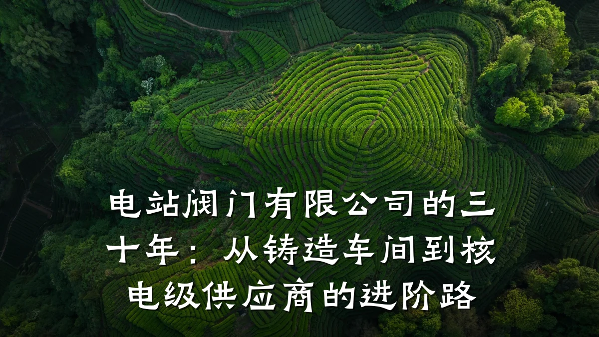 电站阀门有限公司的三十年:从铸造车间到核电级供应商的进阶路