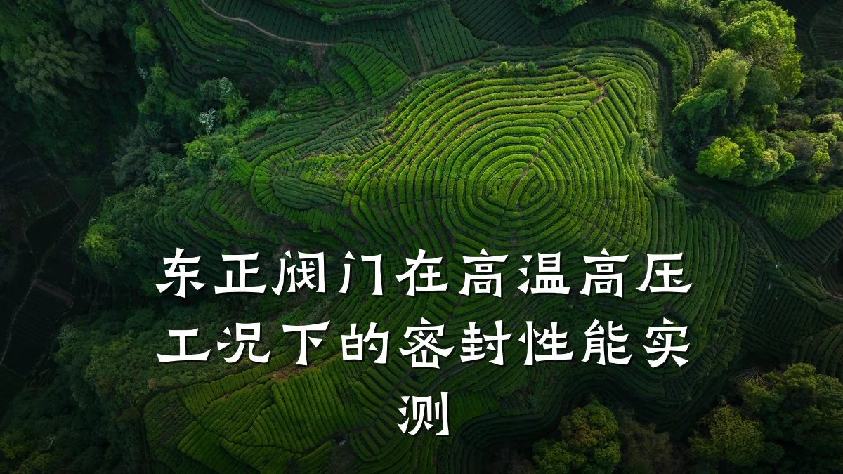 东正阀门在高温高压工况下的密封性能实测