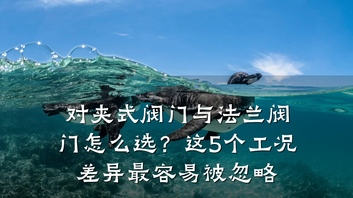 对夹式阀门与法兰阀门怎么选?这5个工况差异最容易被忽略