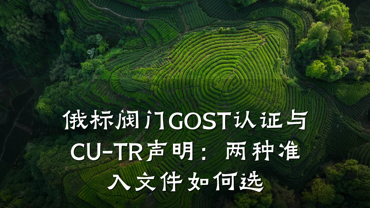 俄标阀门GOST认证与CU-TR声明:两种准入文件如何选