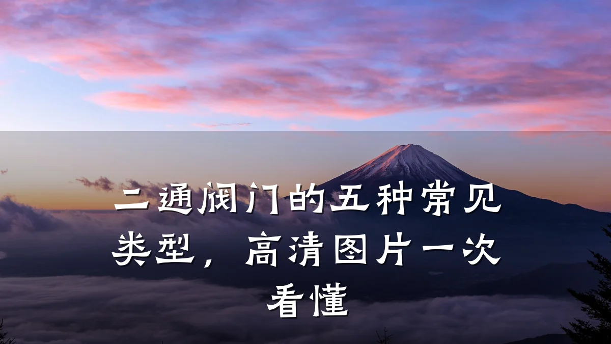 二通阀门的五种常见类型，高清图片一次看懂