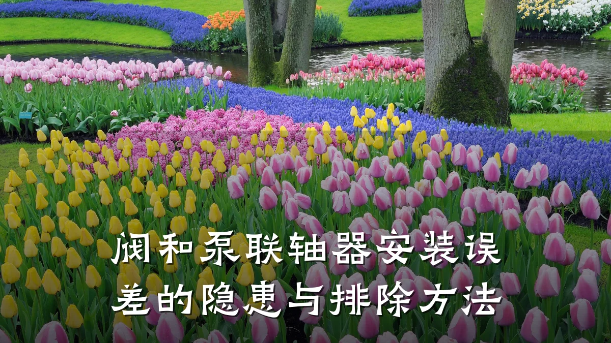 阀和泵联轴器安装误差的隐患与排除方法